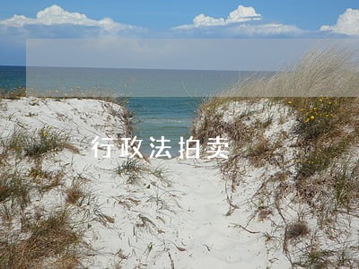 行政法拍卖 行政法拍卖
