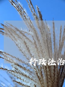 行政法治工作总结 行政法治工作总结