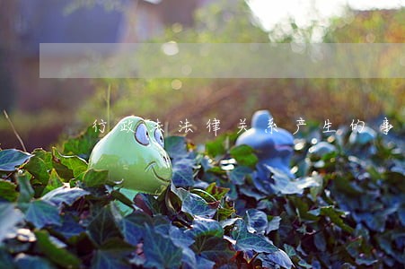 行政法法律关系产生的事实前提是 行政法法律关系产生的事实前提是
