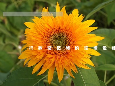 行政法范畴的法律包括