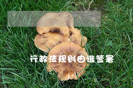 行政法规则由谁签署 行政法规则由谁签署