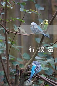 行政法规制定程序流程 行政法规制定程序流程