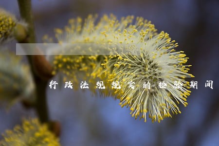 行政法规规定的检验期间的 行政法规规定的检验期间的