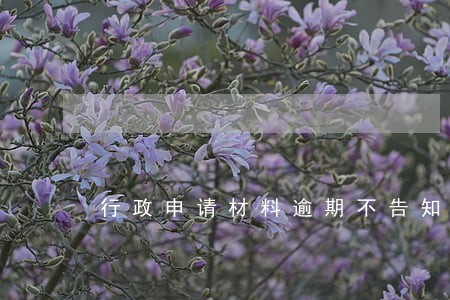 行政申请材料逾期不告知 行政申请材料逾期不告知