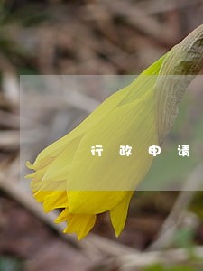 行政申请材料逾期视为自动放弃