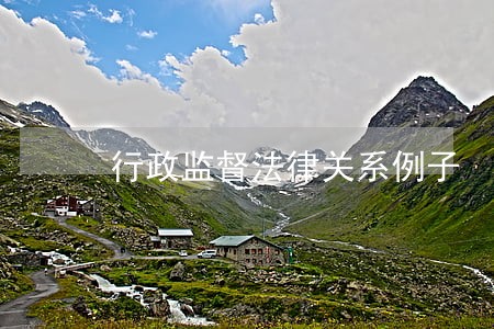 行政监督法律关系例子 行政监督法律关系例子