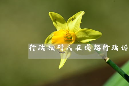 行政相对人在提起行政诉讼 行政相对人在提起行政诉讼