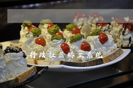 行政社区矫正系统 行政社区矫正系统