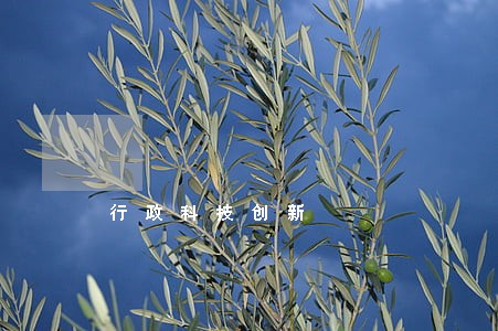 行政科技创新 行政科技创新