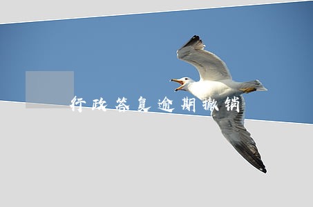 行政答复逾期撤销