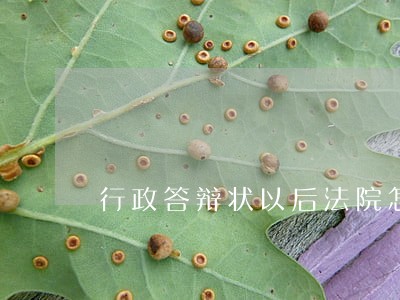 行政答辩状以后法院怎样处理