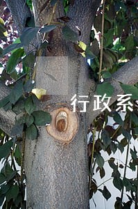 行政系统扫黑除恶推进会精神 行政系统扫黑除恶推进会精神