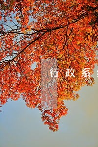 行政系统每期工作动态简报 行政系统每期工作动态简报