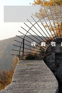 行政罚款缴纳逾期 行政罚款缴纳逾期