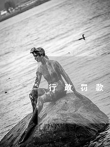 行政罚款缴纳逾期不缴 行政罚款缴纳逾期不缴
