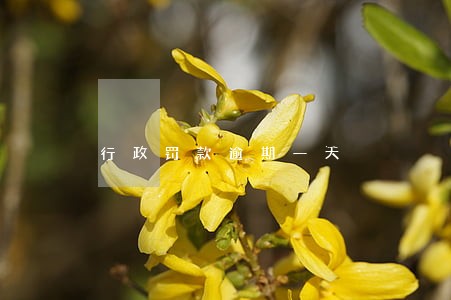 行政罚款逾期一天 行政罚款逾期一天