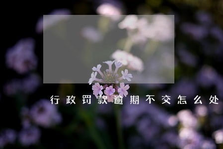 行政罚款逾期不交怎么处理
