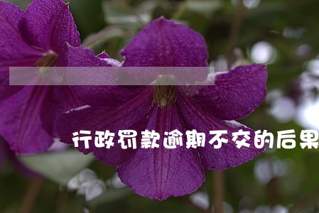 行政罚款逾期不交的后果 行政罚款逾期不交的后果