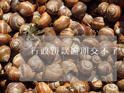行政罚款逾期交不了 行政罚款逾期交不了