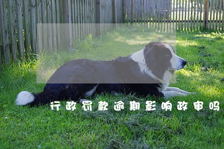 行政罚款逾期影响政审吗 行政罚款逾期影响政审吗