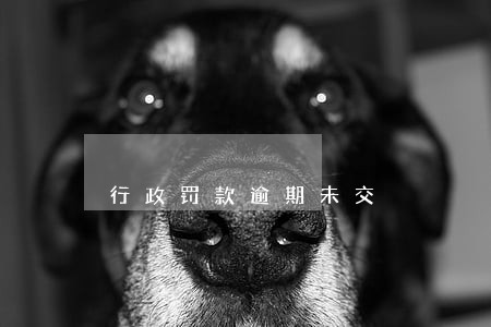 行政罚款逾期未交 行政罚款逾期未交