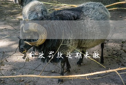 行政罚款逾期未缴