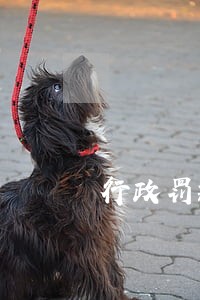 行政罚款逾期滞纳金 行政罚款逾期滞纳金
