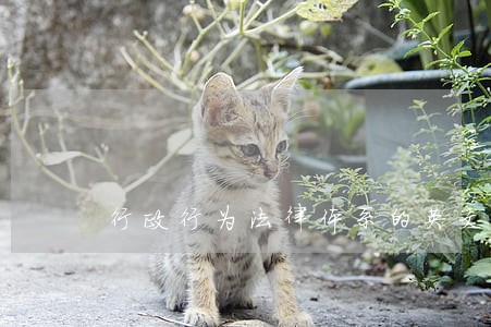 行政行为法律体系的英文翻译 行政行为法律体系的英文翻译