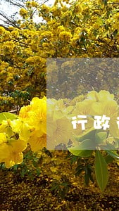 行政行为程序严重违法 行政行为程序严重违法