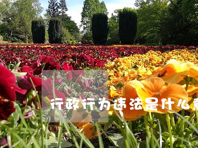 行政行为违法是什么意思