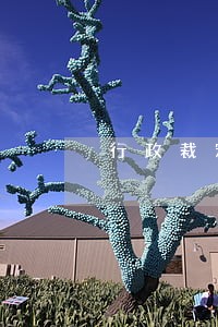 行政裁定书罚款逾期会加罚款吗 行政裁定书罚款逾期会加罚款吗