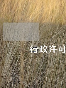 行政许可逾期不予以办理 行政许可逾期不予以办理