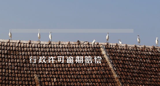行政许可逾期赔偿 行政许可逾期赔偿