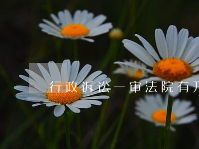 行政诉讼一审法院有开庭传票