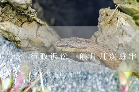 行政诉讼一般开几次庭审 行政诉讼一般开几次庭审