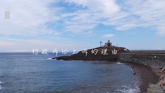 行政诉讼上诉的理由