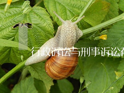 行政诉讼与刑事诉讼存在的关系 行政诉讼与刑事诉讼存在的关系