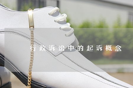 行政诉讼中的起诉概念 行政诉讼中的起诉概念