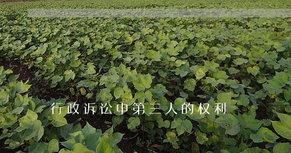 行政诉讼中第三人的权利 行政诉讼中第三人的权利