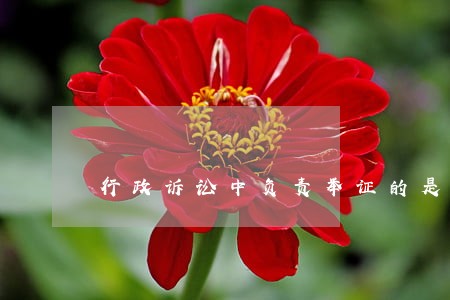 行政诉讼中负责举证的是 行政诉讼中负责举证的是