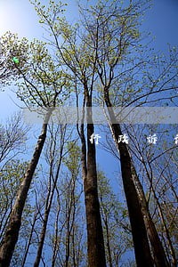 行政诉讼中逾期不举证 行政诉讼中逾期不举证
