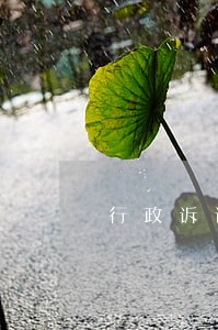 行政诉讼举证质证格式 行政诉讼举证质证格式