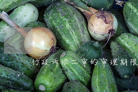 行政诉讼二审的审理期限为 行政诉讼二审的审理期限为