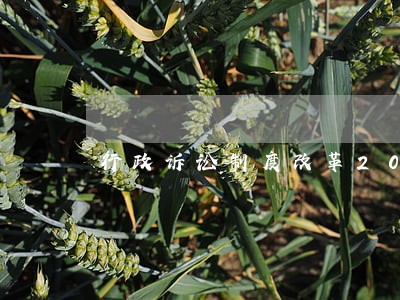行政诉讼制度改革2020 行政诉讼制度改革2020