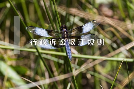 行政诉讼取证规则 行政诉讼取证规则