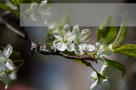 行政诉讼受理机关是 行政诉讼受理机关是