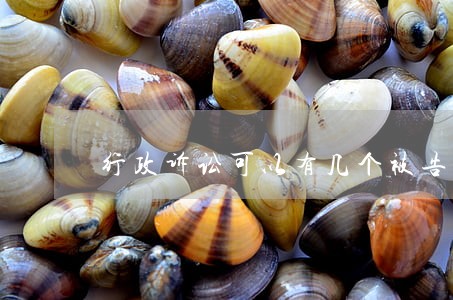 行政诉讼可以有几个被告 行政诉讼可以有几个被告