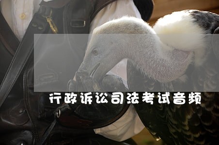 行政诉讼司法考试音频 行政诉讼司法考试音频