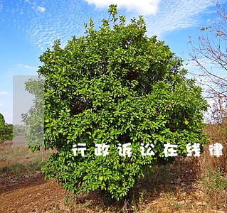 行政诉讼在线律师 行政诉讼在线律师