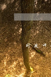 行政诉讼增加诉请的时间